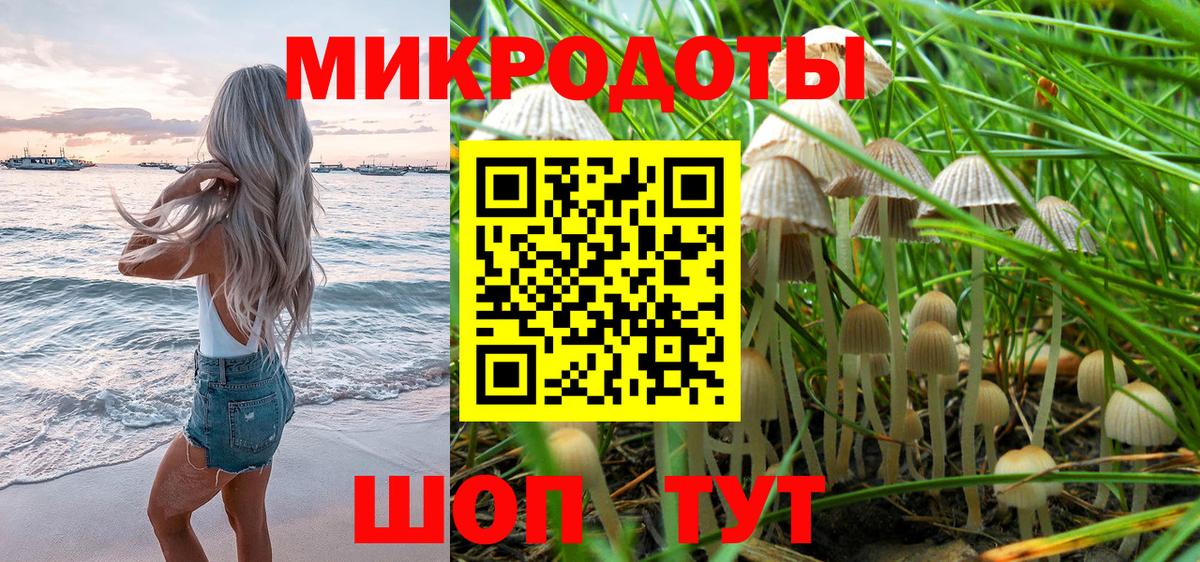 Чусовой  Галлюциногенные грибы MAGIC MUSHROOMS  Вход с VPN  Псилоцибиновые грибы мицелий 